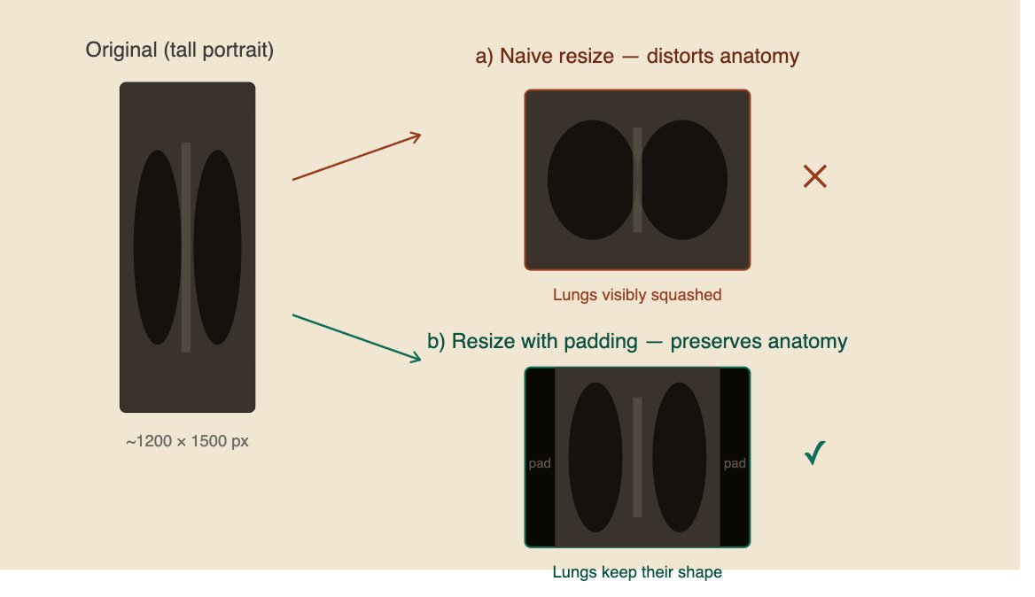 Tutorial Image